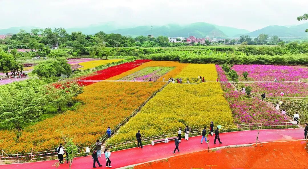 右江日報(bào)-2